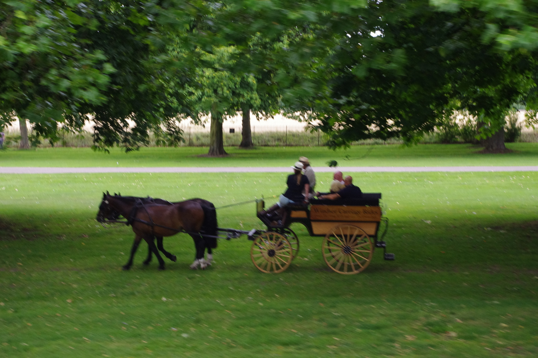 夏のイギリス。馬車が緑の中を走っている。